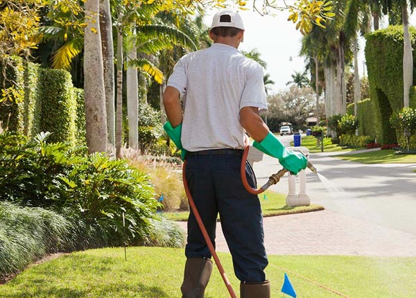 About Westfield NC Pest Control